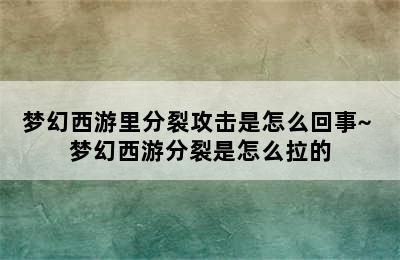 梦幻西游里分裂攻击是怎么回事~ 梦幻西游分裂是怎么拉的